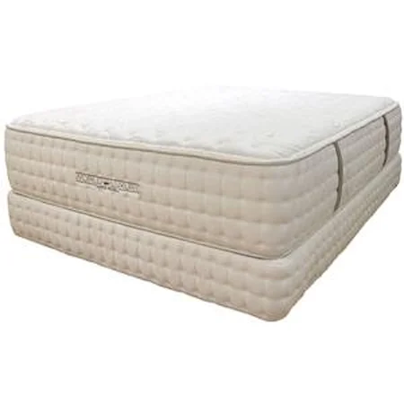 Queen Luxury Firm Mattress and Foundation